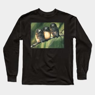 Saw Whet Owls Long Sleeve T-Shirt